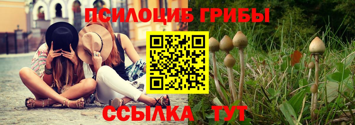 Галлюциногенные грибы Psilocybe Биробиджан