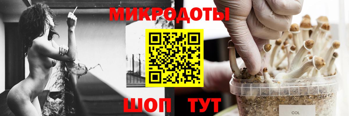Галлюциногенные грибы мухоморы  Галлюциногенные грибы прущие грибы  Биробиджан  Вход с VPN 
